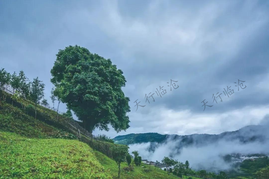 臨滄鄉村旅游攻略之云縣漫灣鎮—白鶯山村 