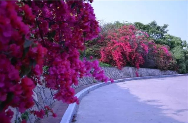臨滄旅游景區