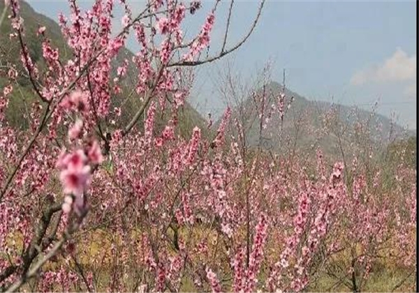 鄉(xiāng)村旅游看臨滄丨鎮(zhèn)康縣景點(diǎn)——木場(chǎng)桃花島