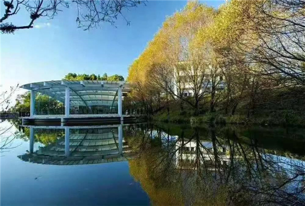 臨滄旅游景點，五老山國家森林公園